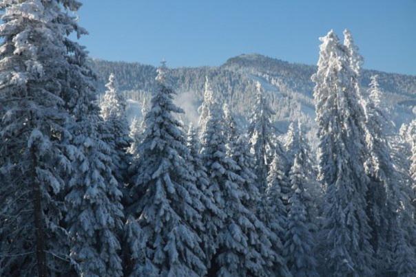 Aparthotel Borovets Gardens Экстерьер фото